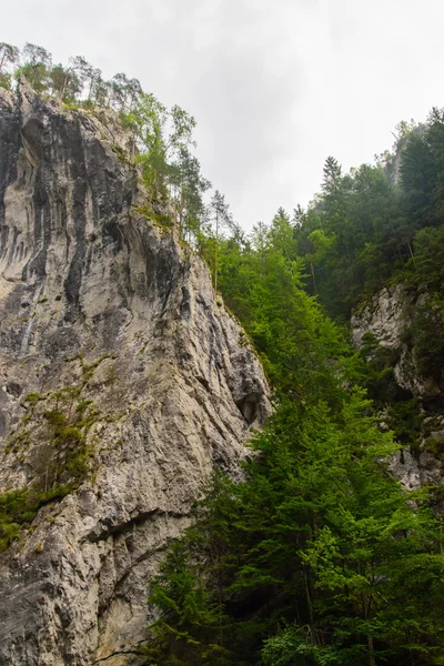 Hermoso paso de montaña. Belleza de la naturaleza . — Foto de Stock