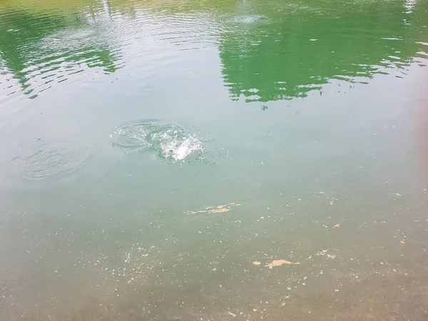 Lago para la pesca, la pesca en el lago — Foto de Stock