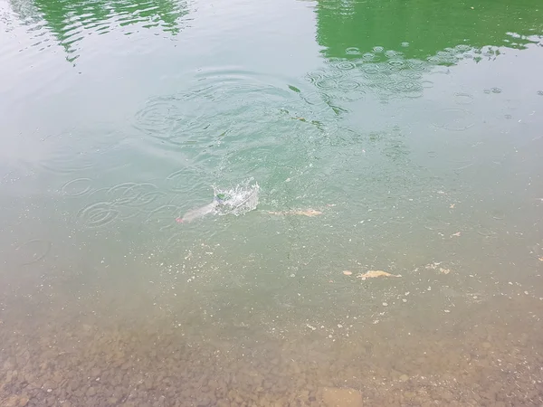 釣り、湖の湖の釣り — ストック写真