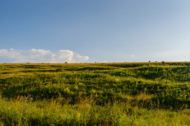 En iyi çayır ve alan