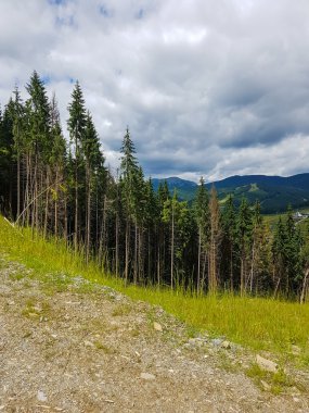 Dağlarda güzel doğa