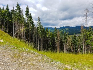 Dağlarda güzel doğa