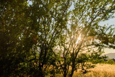 Sahada muhteşem günbatımı