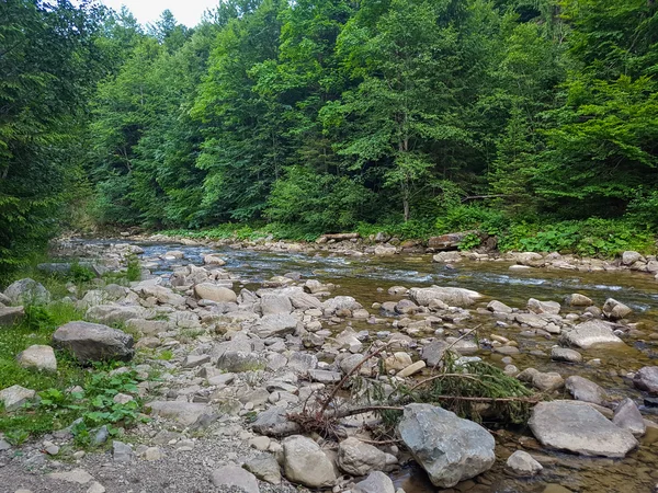 Rio da floresta montanhosa. Beleza da natureza . — Fotografia de Stock