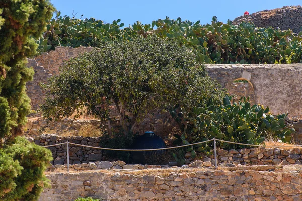 Antiche case sulle rovine dell'isola greca — Foto Stock