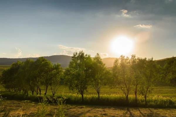 Favoloso tramonto sul campo — Foto Stock