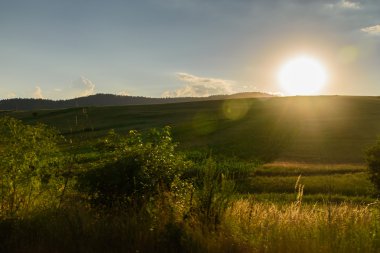 Sahada muhteşem günbatımı