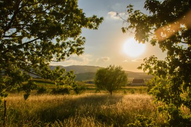 Sahada muhteşem günbatımı