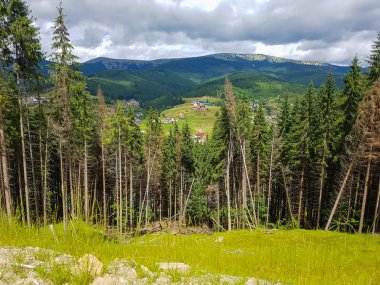 Dağlarda güzel doğa