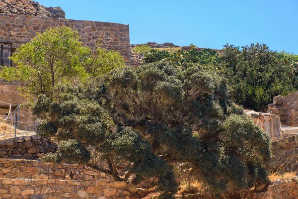 Maisons anciennes sur les ruines de l'île grecque — Photo