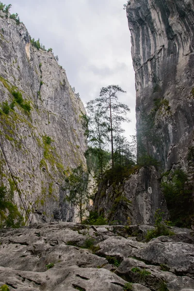 Hermosa garganta de montaña. Belleza de la naturaleza . — Foto de Stock