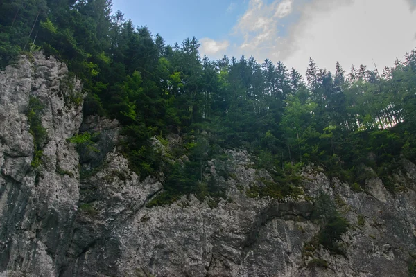 Belo desfiladeiro de montanha. Beleza da natureza . — Fotografia de Stock