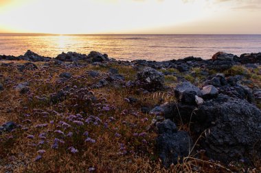 Deniz kıyısı üzerinde keyifli bir gün batımı