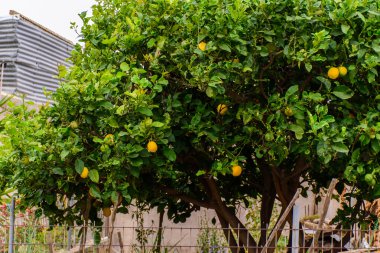 Girit pitoresk caddeleri