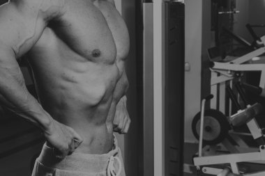 Spor serin vücut geliştirmeci