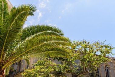 Kandiye güzel mimari.