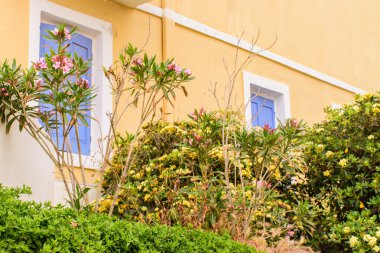 Pitoresk Yunan avlu. Güzel bir şehir.