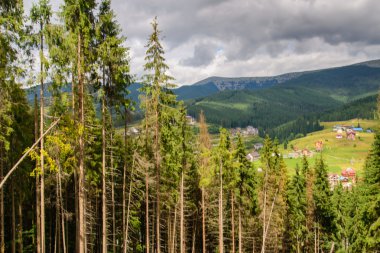 Yaban hayatı Crete. Doğanın güzelliği.