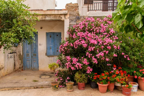 Мальовничі красивою грецької двори. — стокове фото