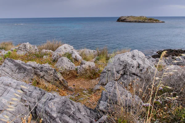 Yaban hayatı Crete. Doğanın güzelliği. — Stok fotoğraf