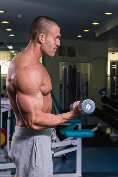 Styrketräning i gym — Stockfoto