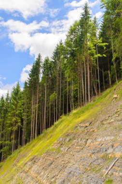 Dağlarda güzel doğa