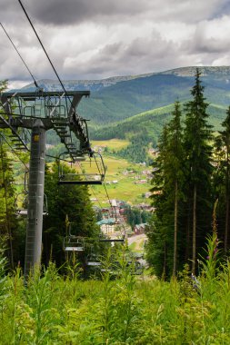 Dağlarda çam ağaçları