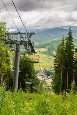 Dağlarda çam ağaçları