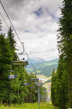 Dağlarda çam ağaçları