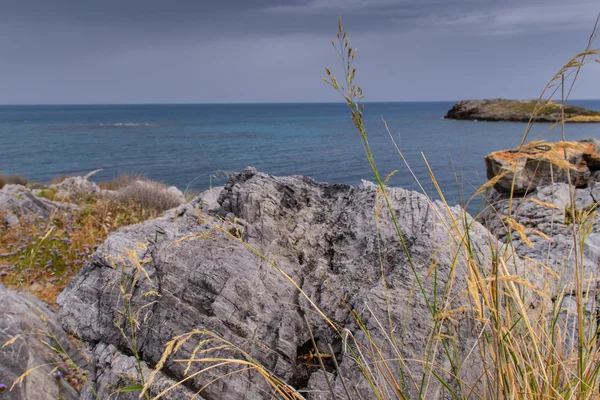 Wildlife Greek coast. Beauty of nature. — Stock Photo, Image