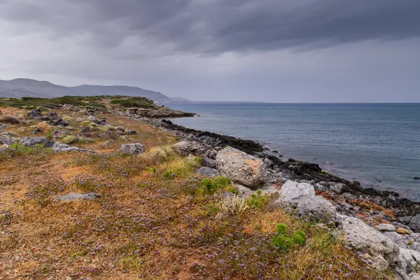 Denizin güzel doğa — Stok fotoğraf