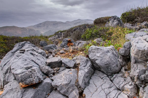 Prachtige natuur van de zee — Stockfoto