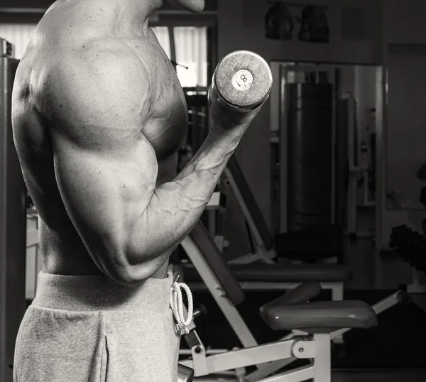 Atleta musculoso culturista en el gimnasio —  Fotos de Stock