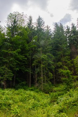 Güzel doğa dağlar. Doğanın güzelliği.
