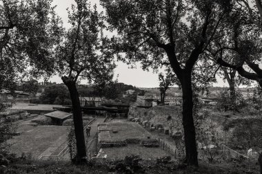 Roma Forumu. Güzel bir şehir.