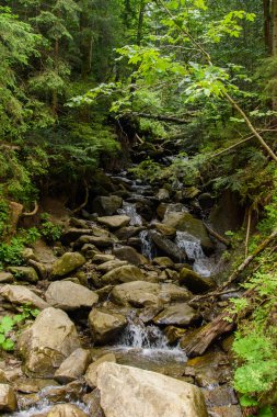 Muhteşem Karpatlar. Doğanın güzelliği.