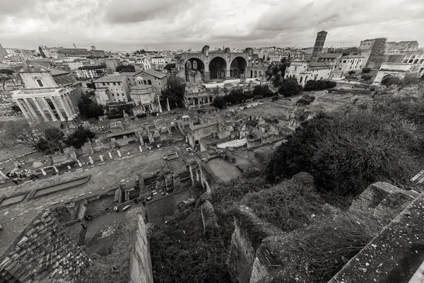 Fórum Romano. Cidade bonita . — Fotografia de Stock