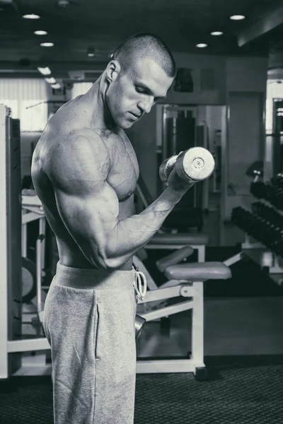 Culturista en el gimnasio —  Fotos de Stock