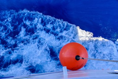 Yaban hayatı Yunan sahil. Dalgalar.