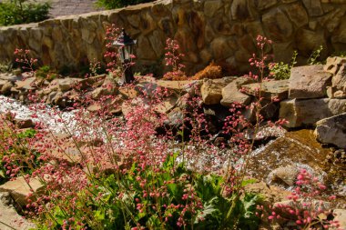 Dağlarda güzel ağaçlar