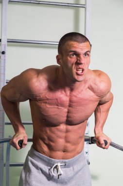 Spor serin vücut geliştirmeci