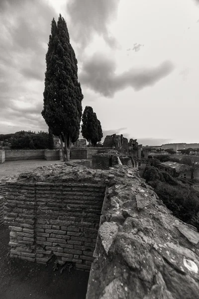 Ongelooflijke ruïnes van het Forum Romanum — Stockfoto
