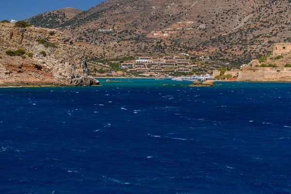 Faune côte grecque. Beauté de la nature . — Photo