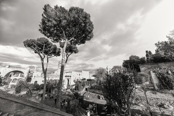 Incríveis ruínas do Fórum Romano — Fotografia de Stock