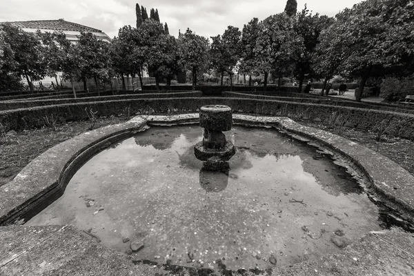 İnanılmaz kalıntıları Roma Forumu