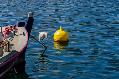 05.20.16. Heraklion, Girit, Yunanistan. Güzel harb görünümünü