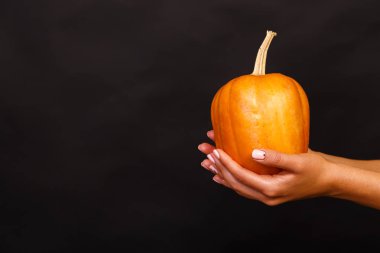 Kabak elinde. Cadılar Bayramı için arka plan