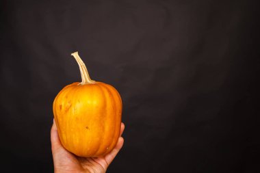 Kabak elinde. Cadılar Bayramı için arka plan