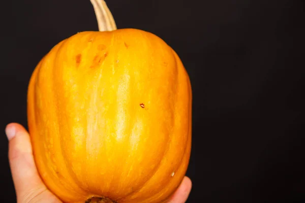 Pumpa i hand. Bakgrunden för Halloween — Stockfoto