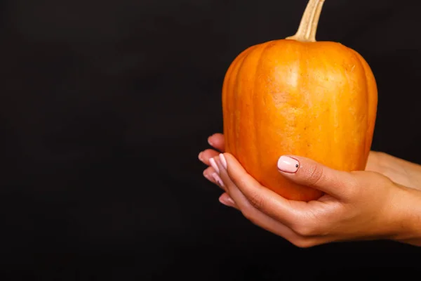 Abóbora na mão. Antecedentes para Halloween — Fotografia de Stock